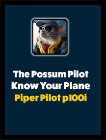 Piper Pilot 100i