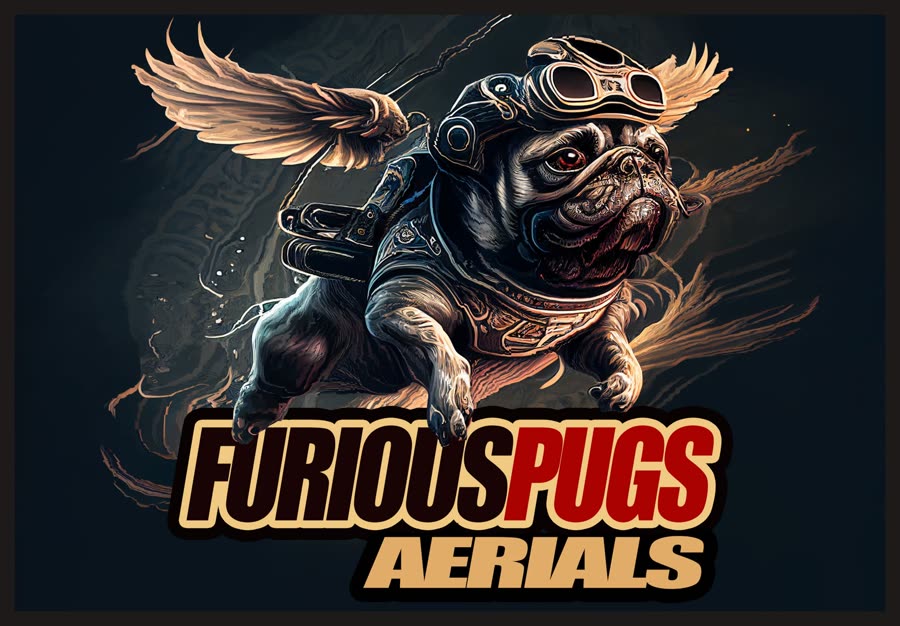 Furious Pugs Aerials poster: a dark winged pug in a flying helmet